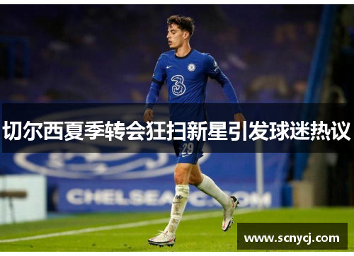 切尔西夏季转会狂扫新星引发球迷热议